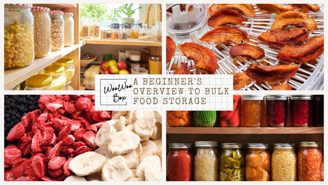 A Beginner's Overview to Bulk Food Storage: Building a Healthy, Sustainable Pantry