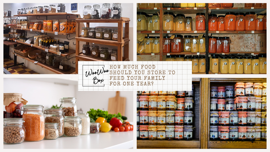 How Much Food Should You Store to Feed Your Family for One Year?