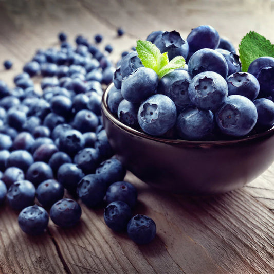 Legacy Blueberry